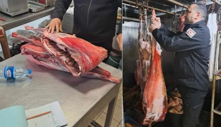 Lefkoşa’da kasap denetimlerinde kaçak et bulundu, asgari ücretin yüzde 50’si kadar para cezası kesildi