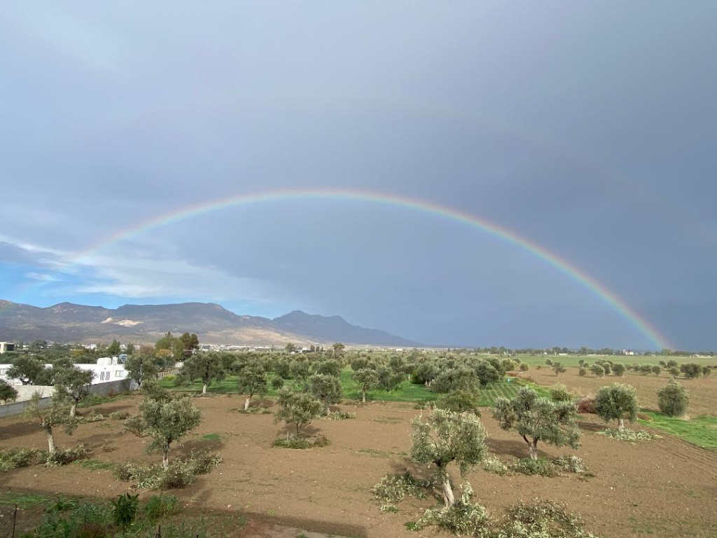 Yağışlı hava 31 Aralık’a kadar sürecek