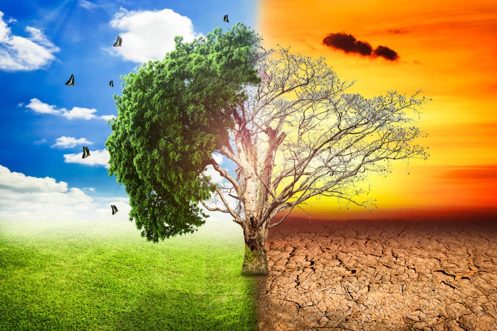 Dünya Meteoroloji Örgütü: “İklim değişikliğinin etkileri 2024’te dünyayı etkisi altına aldı”