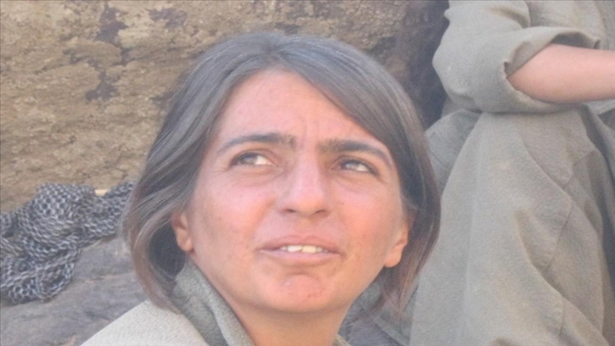 “PKK/PAJK’ın sözde sorumlusu Suriye’de etkisiz hale getirildi”