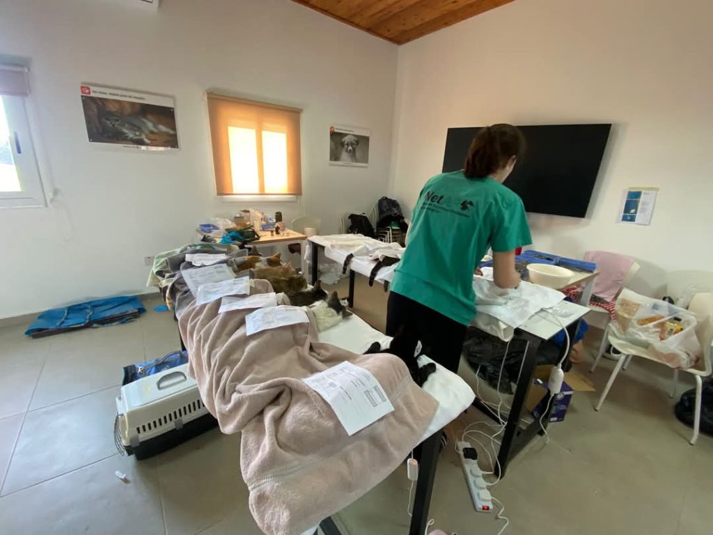Güzelyurt’ta 150’nin üzerinde kedi ve köpek kısırlaştırıldı