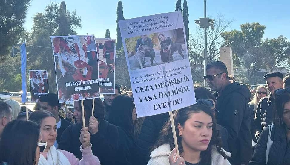 Meclis önünde hayvan haklarına ilişkin düzenlemeye destek!