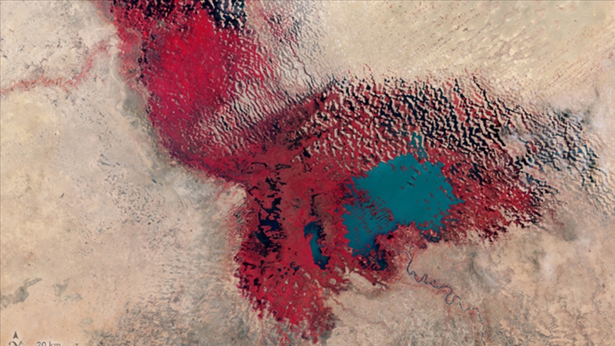 Afrika’nın can damarı Çad Gölü kurumaya devam ediyor