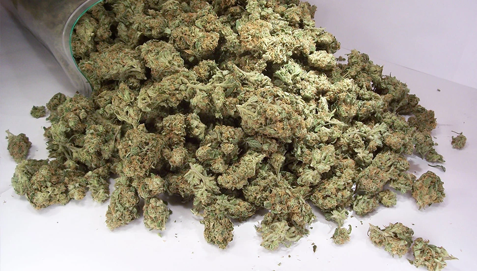 Narkotikten “Kasırga Operasyonu”: 6 Kilo uyuşturucu ele geçirildi