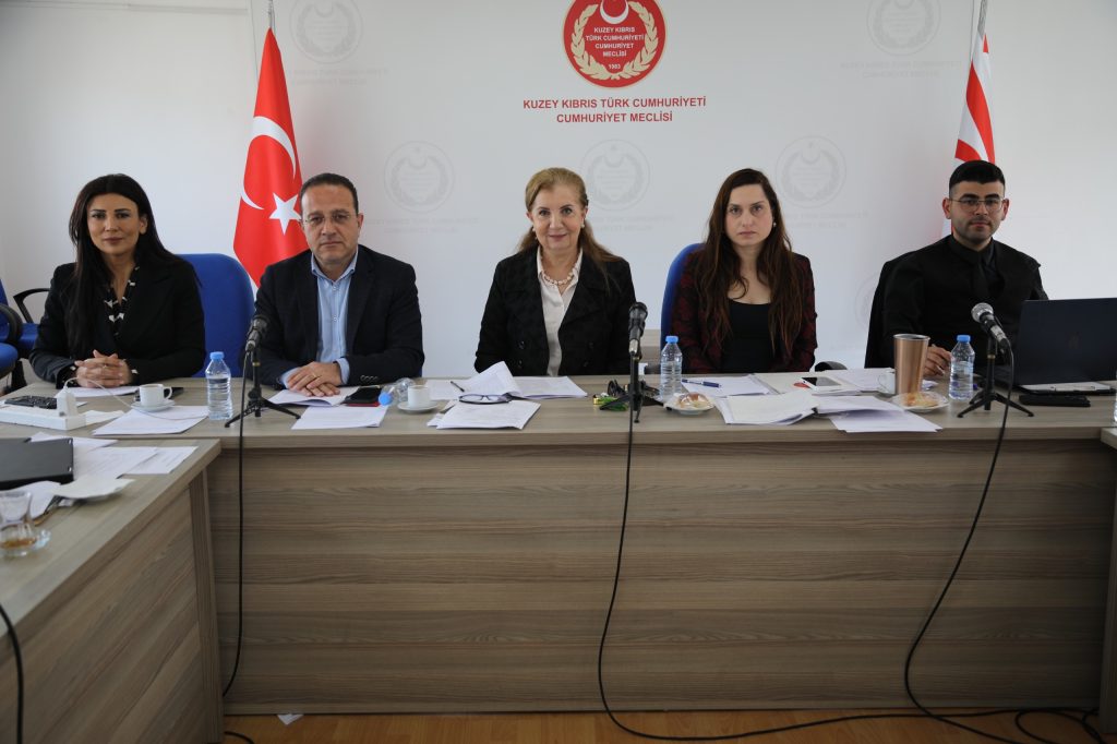 Ekonomi, Maliye, Bütçe ve Plan Komitesi toplandı