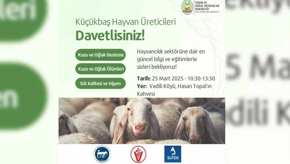 Vadili’de küçükbaş hayvan yetiştiricilerine yönelik eğitim