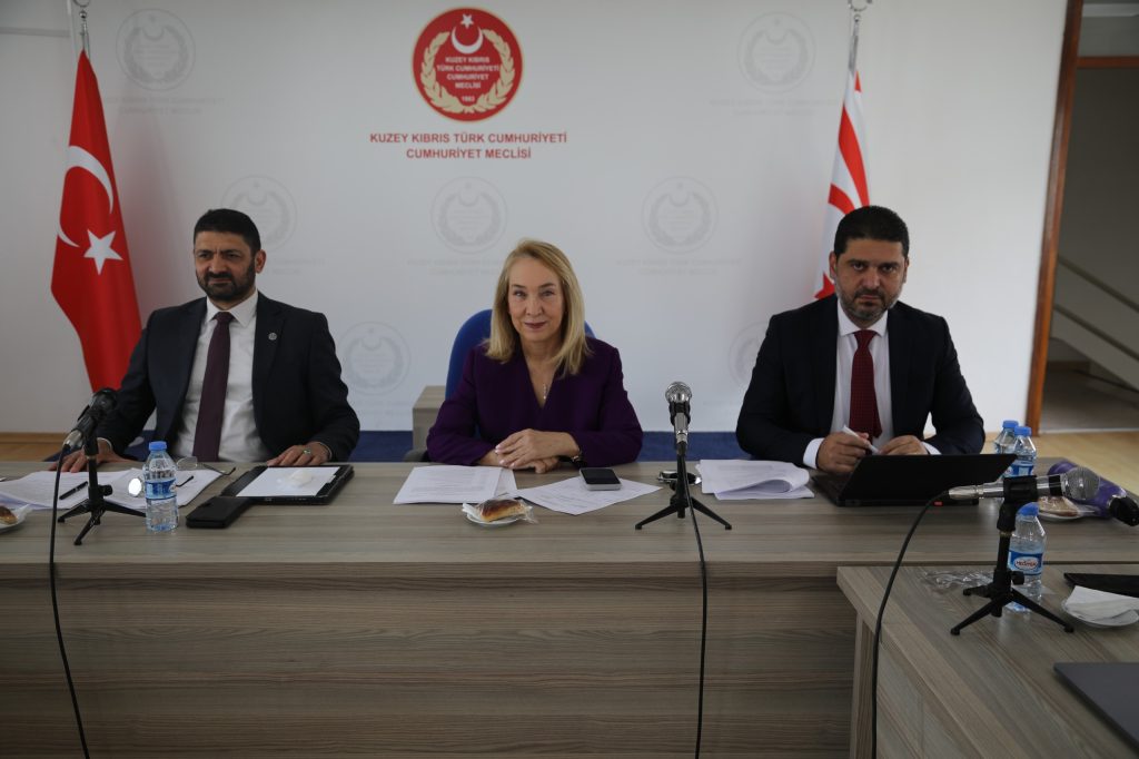 “Sosyal Hizmetler Dairesi Yasa Tasarısı” komitede görüşülüyor