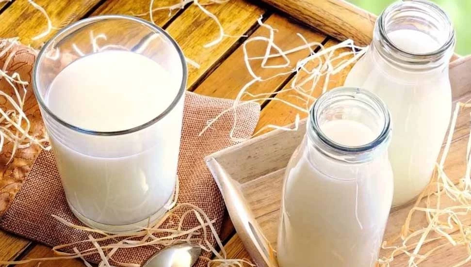 Süt bedelleri ödendi