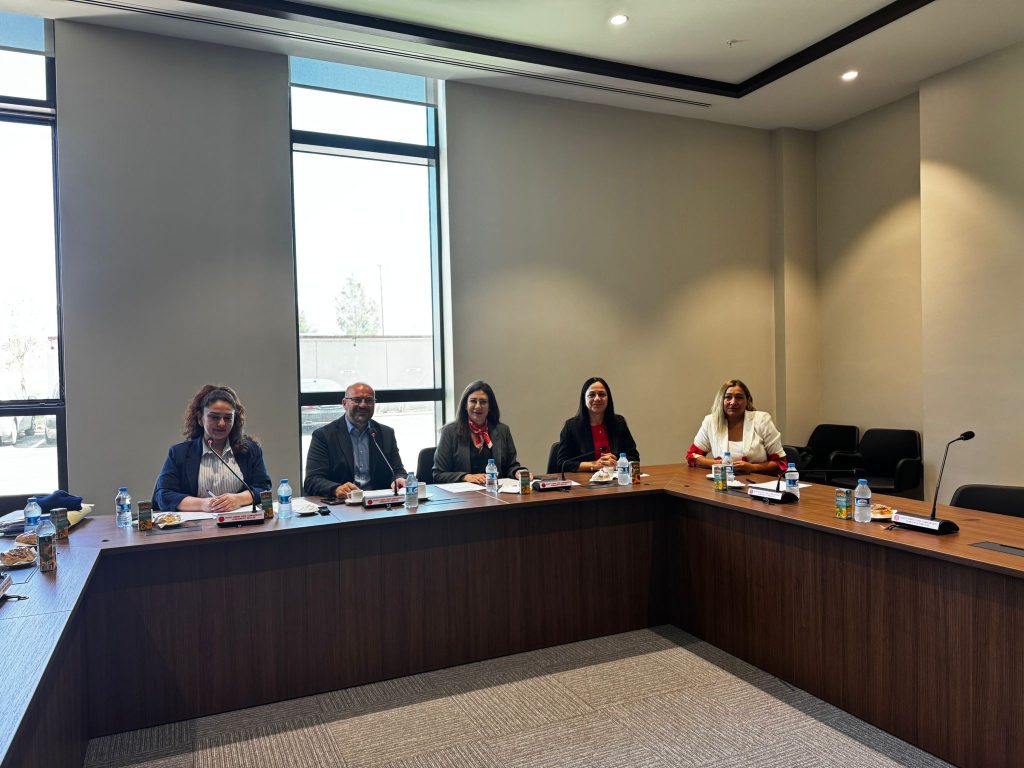 Ülkedeki yükseköğretim kurumlarının araştırılmasına ilişkin komite toplandı