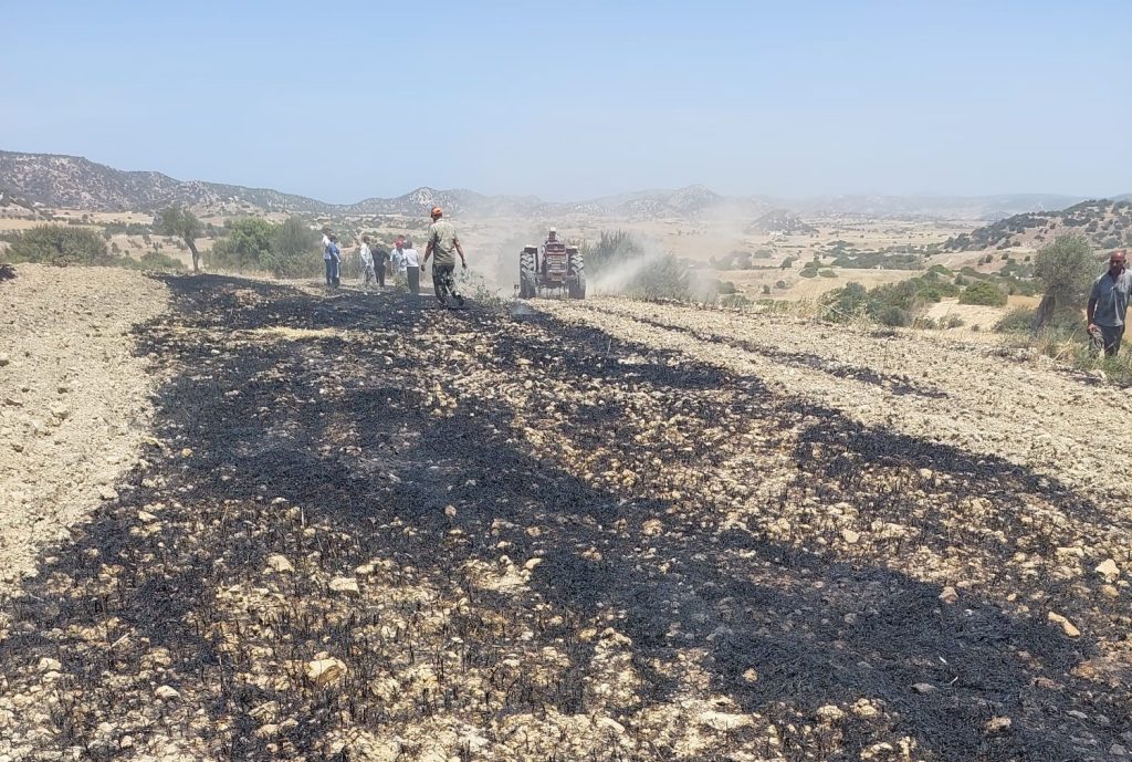 Mehmetçik yakınlarında arazi yangını