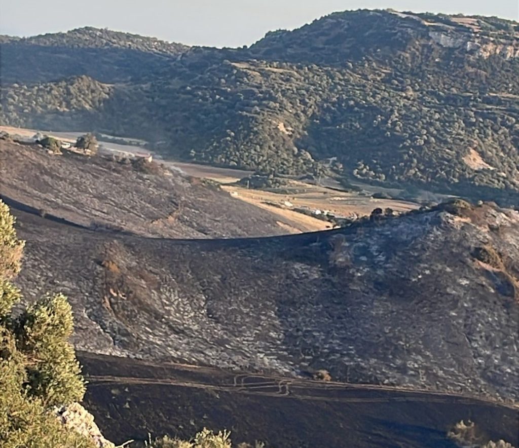 Avtepe’deki yangın tamamen söndürüldü