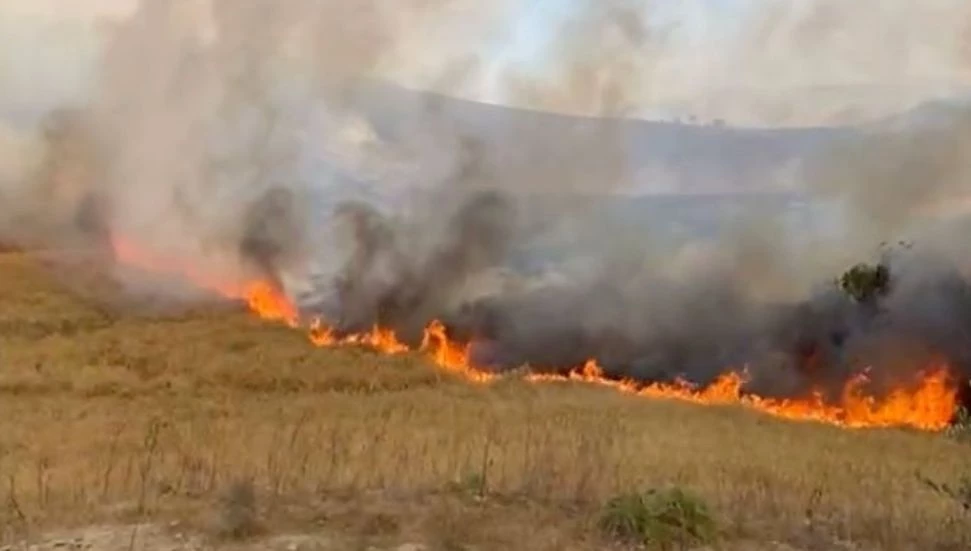 Avtepe-Kuruova arasında yangın!