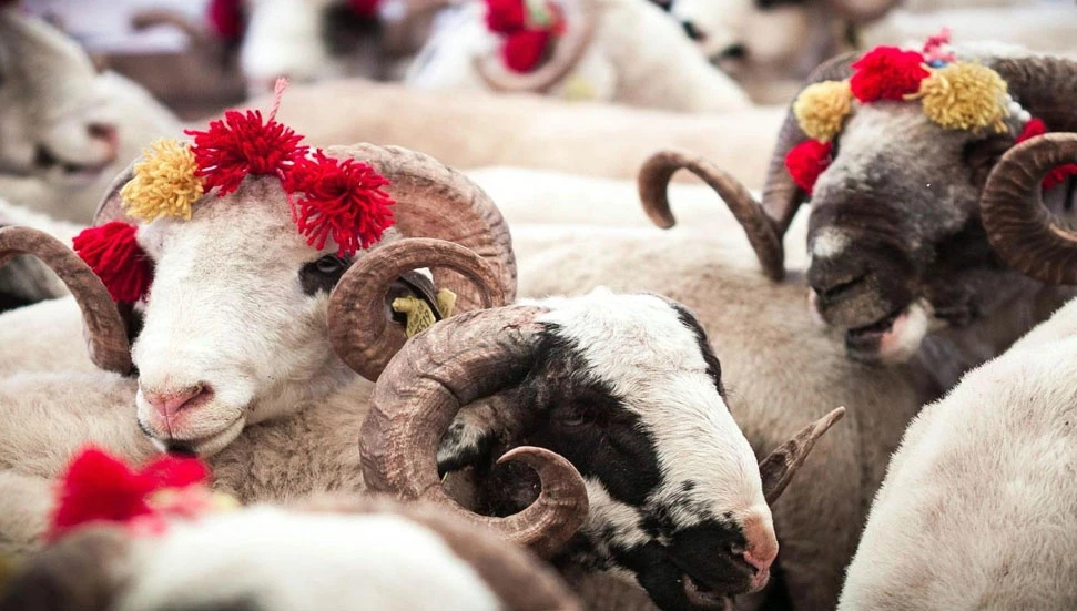 Kurban Bayramı’nın son günü