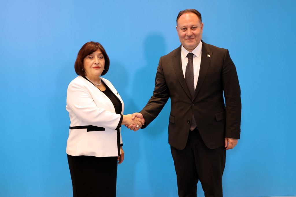 Öztürkler, Azerbaycan Milli Meclisi Başkanı Gafarova ile görüştü