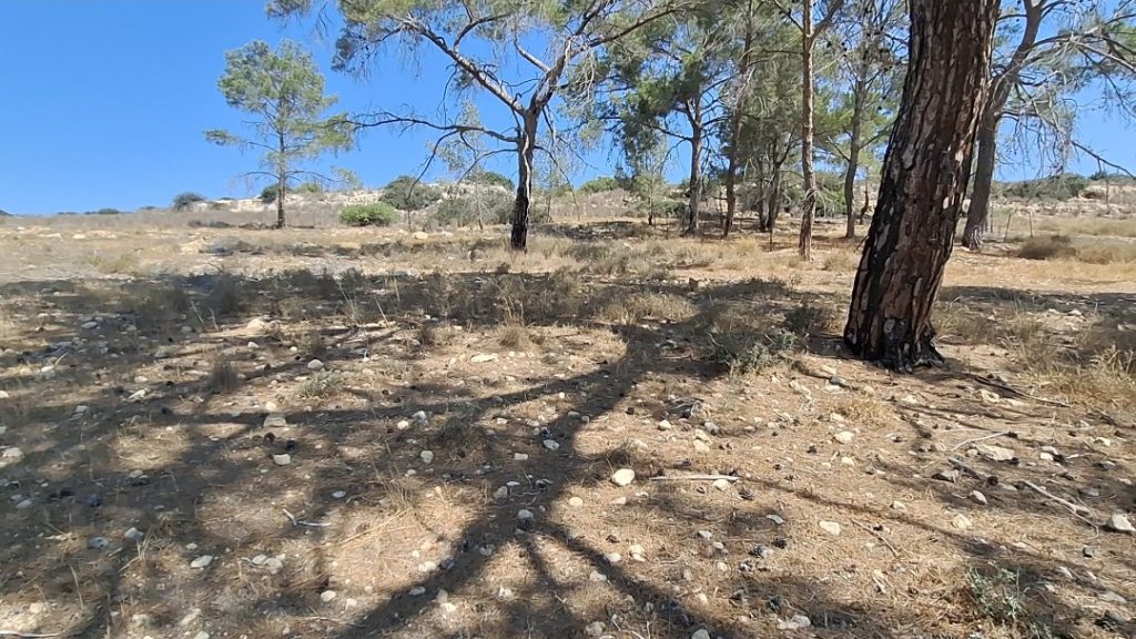 Güzelyurt Hayvanları Koruma Derneği’nden Başbakan Üstel’e teşekkür