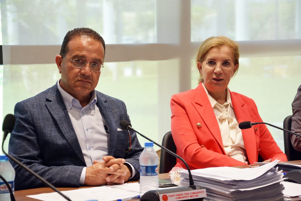 Ekonomi, Maliye, Bütçe ve Plan Komitesi toplandı