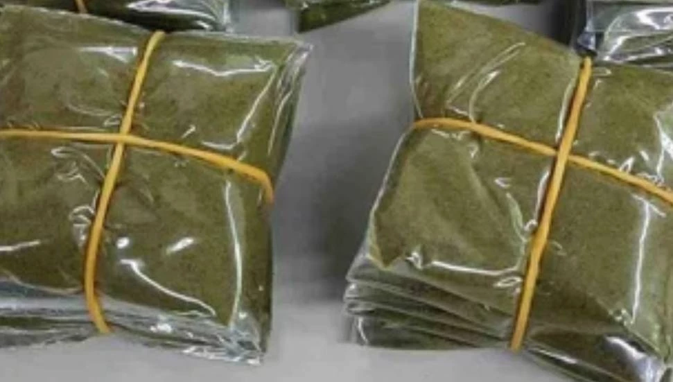 Girne Limanı’nda 50 kilo maraş otu ele geçirildi!