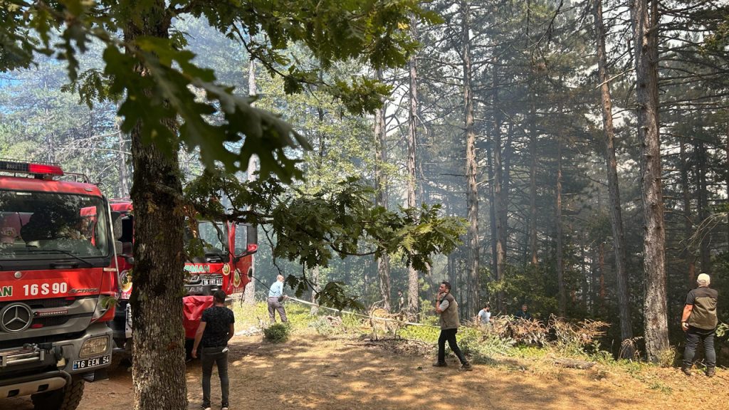 Bursa’nın 2 ilçesinde çıkan orman yangınına müdahale ediliyor