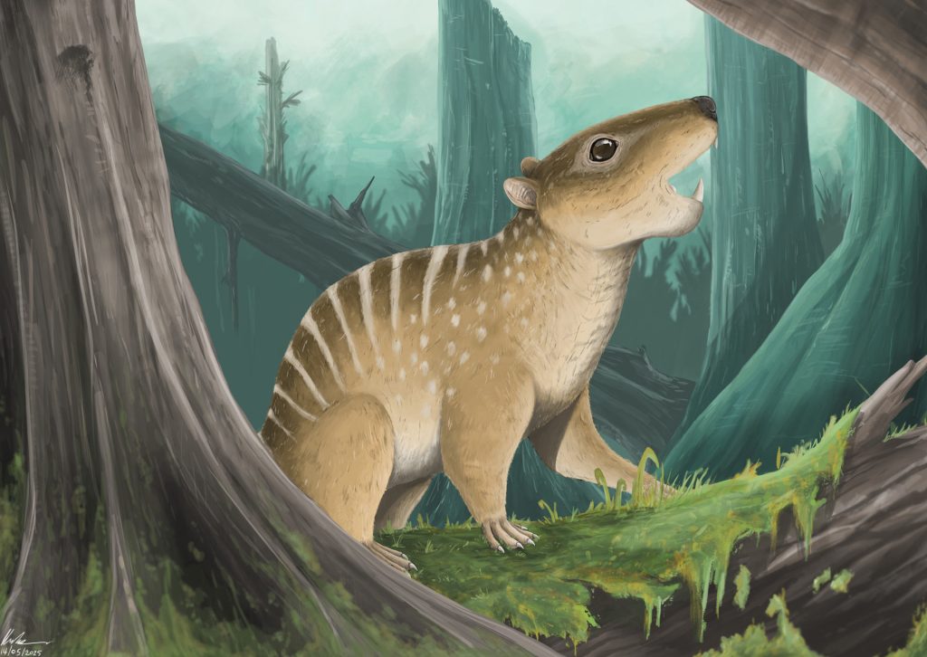 İngiltere’de bir üniversite öğrencisi, 145 milyon yıllık fosil buldu, yeni bir tür keşfedildi