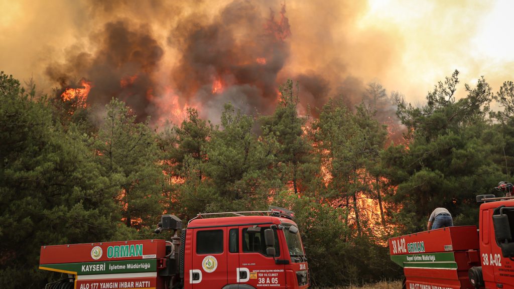 Türkiye’de orman yangınlarıyla mücadele dördüncü gününde