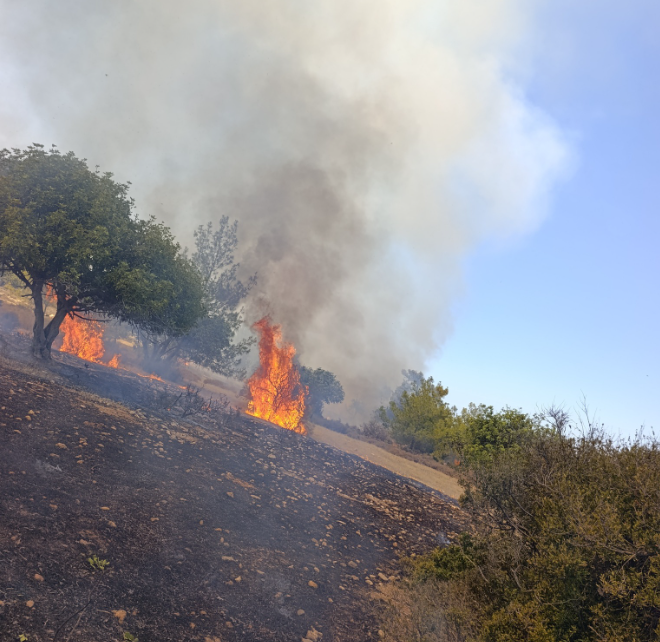 Esentepe-Karaağaç bölgesinde yangın…