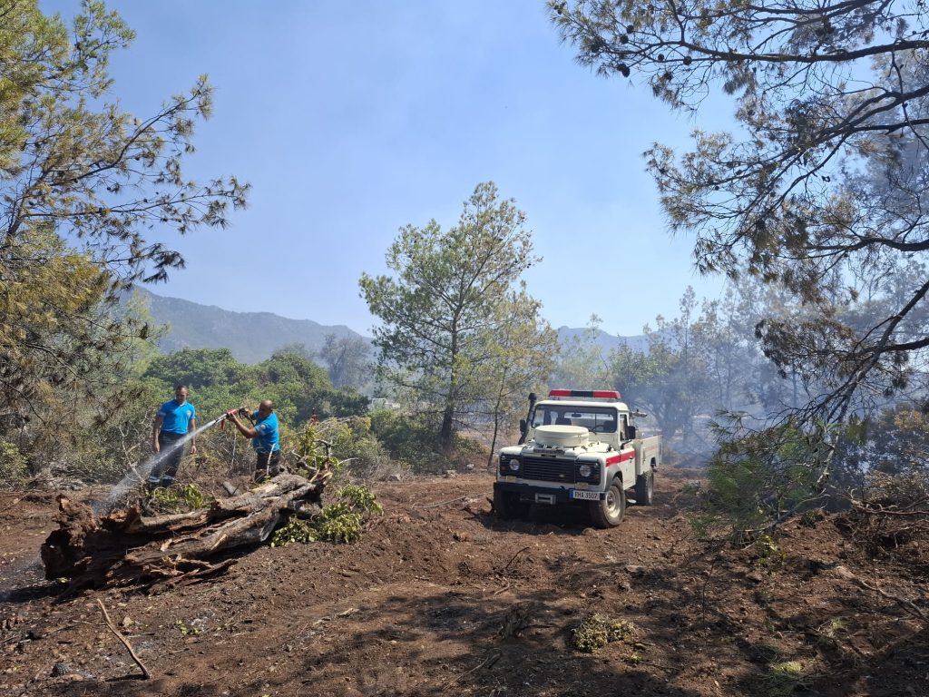 Cahitoğlu: “Yapılan hızlı müdahale ile yangın kontrol altına alındı”