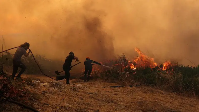 Yunanistan ve Bulgaristan’da orman yangınları: Alevler Türkiye sınırına ulaştı