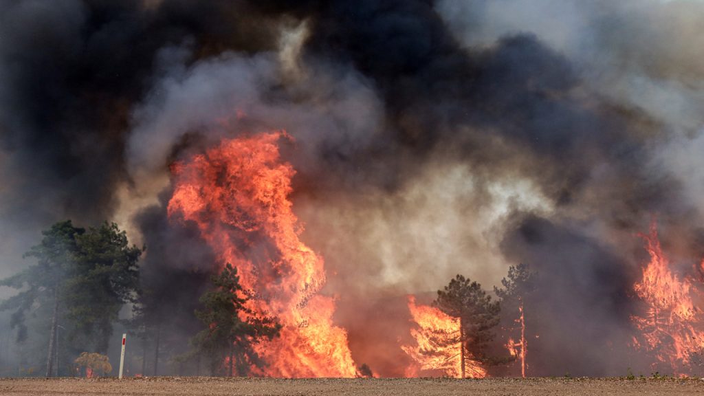 Bursa’da orman yangını… Ekiplerin müdahalesi sürüyor