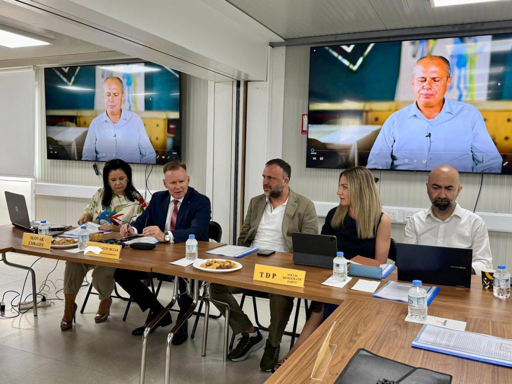 TDP, Türk ve Rum siyasi partilerin dikkatini dil eğitimine çekti