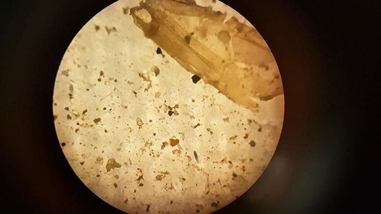 İnsanlar, günde on binlerce mikroplastik parçacığı soluyor olabilir