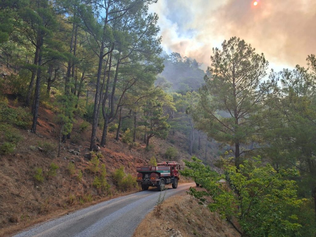 Mersin’de orman yangını