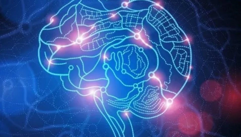 Bakanlığın deli dana açıklamasına veteriner hekimlerden uyarı: Hiç risk yokmuş gibi algı yaratılmamalı