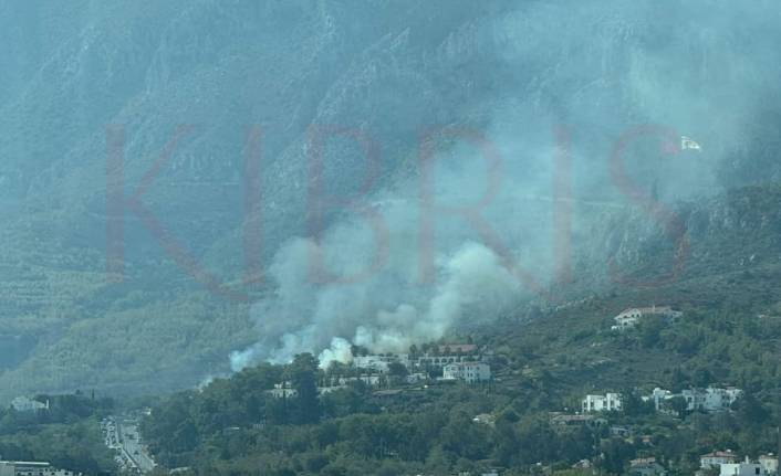 Girne’de yangın: Şenkul’dan acil yardım çağrısı!