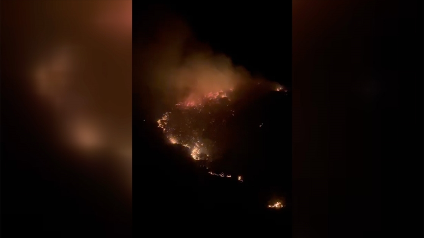 Marmara Adası’nda çıkan orman yangını kontrol altına alındı