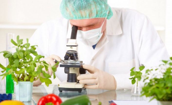 İthal elmada limit üstü bitki koruma ürünü tespit edildi