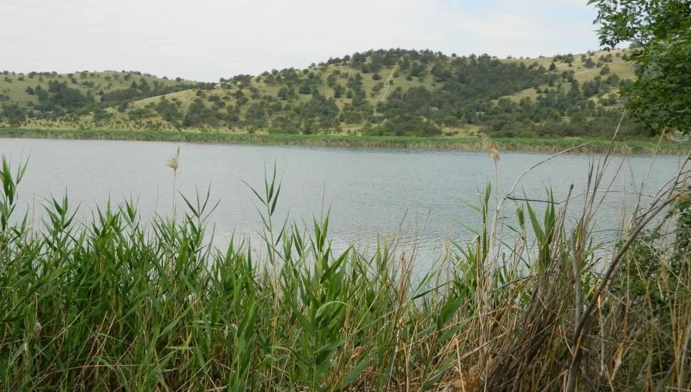 Sivil toplum örgütleri Ayluga Sulak Alanı’nı koruma çağrısında bulundu