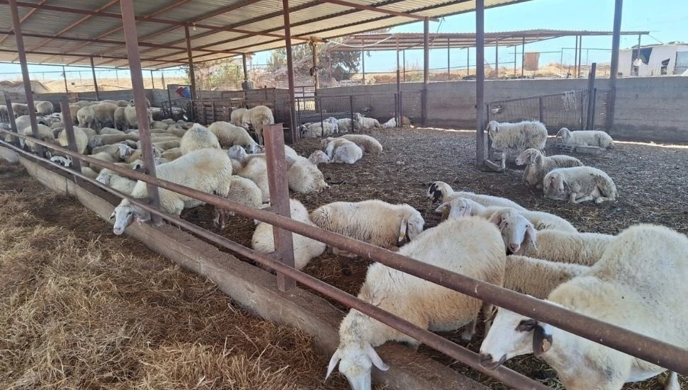 Veteriner Dairesi, 32 tesiste denetim gerçekleştirerek 17 ithal ürünü analize gönderdi