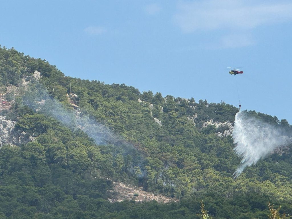 Antalya’da çıkan orman yangını kontrol altına alındı