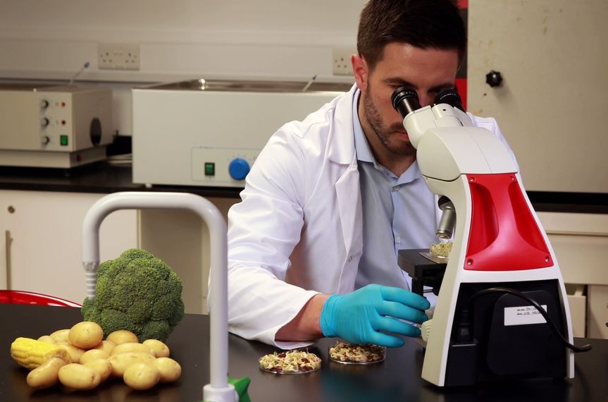 Gıda denetim sonuçları… 2 ithal üründe limit üstü bitki koruma ürünü tespit edildi