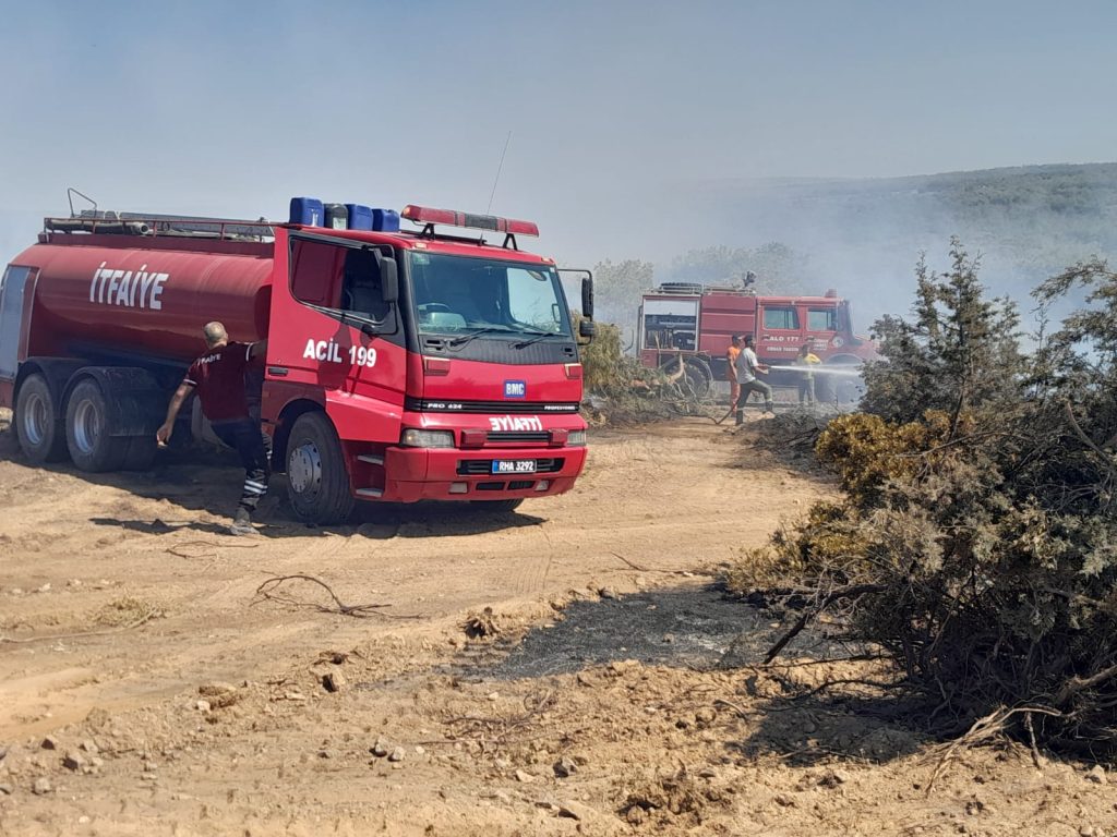Akdeniz köyünün Ağıllar bölgesinde çıkan yangıda 5 dönümlük alandaki maki ve çam ağaçları yandı