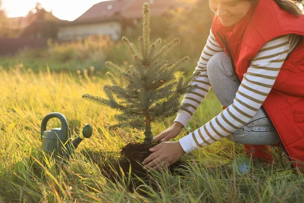 İki toplumlu kadınların katılımıyla ara bölgeye ağaç dikilecek