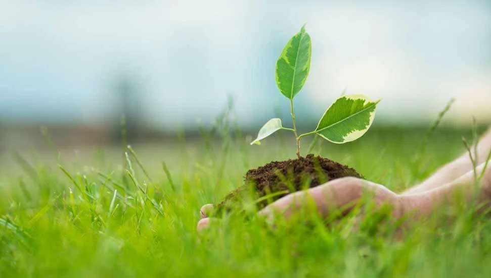 Tabipler Birliği: Çevre sağlığını ve temiz havayı korumak ortak sorumluluğumuz
