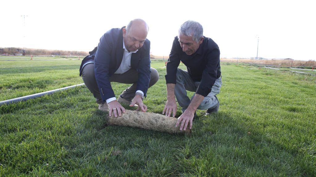 Topraksız rulo çim üretim yöntemiyle verimli tarım arazilerinin kaybolmasının önlenmesi hedefleniyor