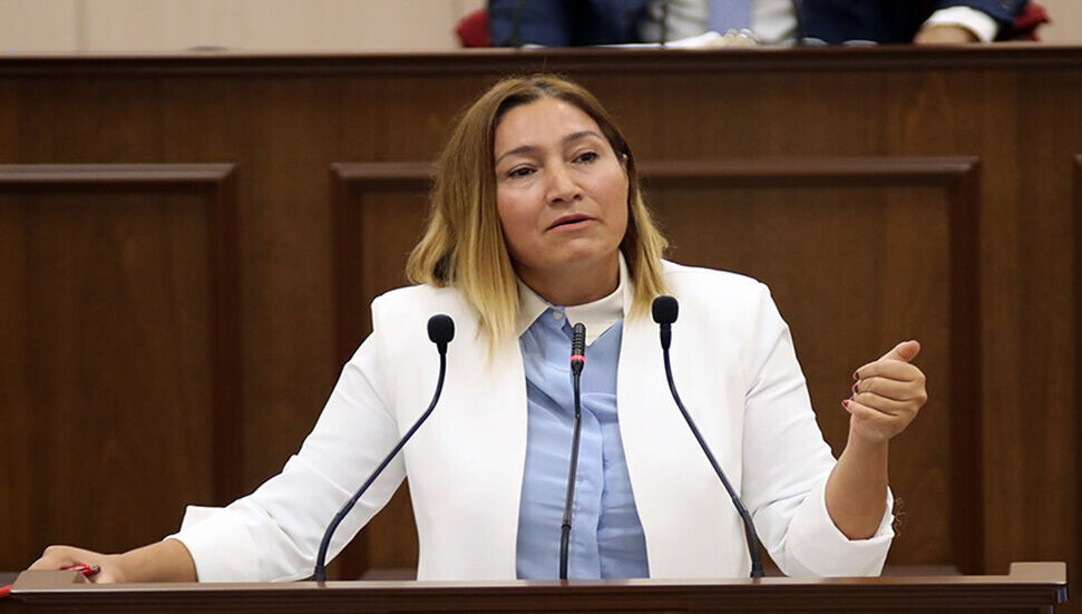 Öztürk: İki devleti kabullenmek hayatta kalmanın tek çözümüdür