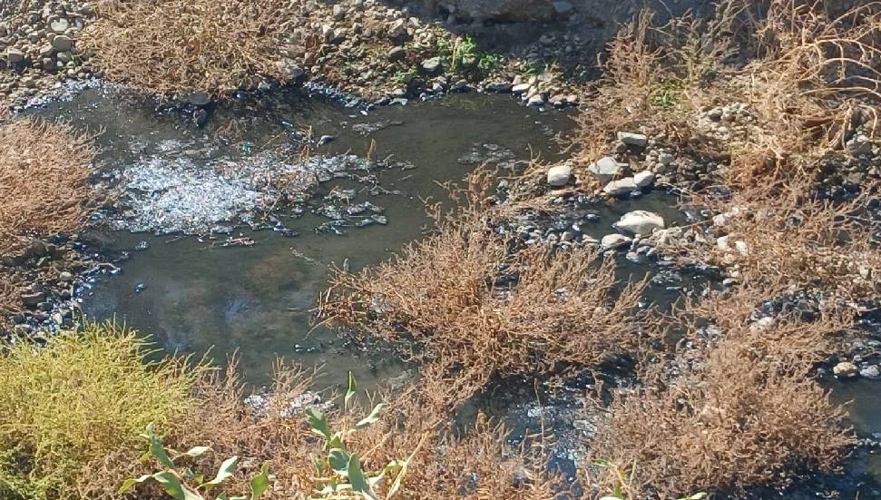 Lefke Çevre ve Ekoloji Derneği, Gemikonağı’ndaki kanalizasyon suları nedeniyle yetkilileri göreve çağırdı