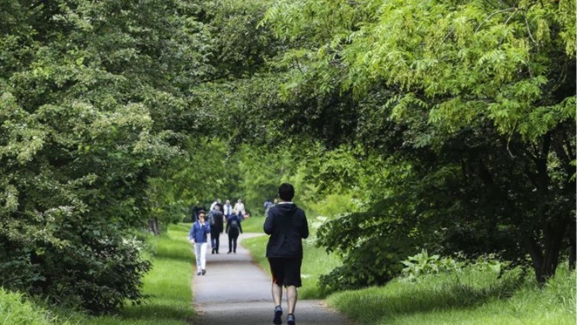 Araştırmaya göre, günlük adım sayısına uzun yürüyüşle ulaşmak daha sağlıklı olabilir