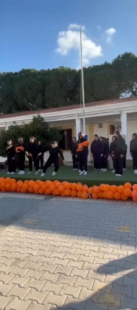 Haydarpaşa Ticaret Lisesi ile Kale Inner Wheel Kulübü Kadına Yönelik Şiddete karşı etkinlik düzenledi