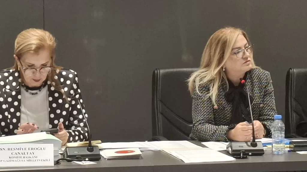 Ombudsman bütçesi oy birliğiyle kabul edildi