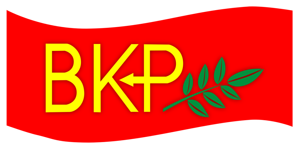 BKP MYK: “Pınar Barut’un yanındayız”