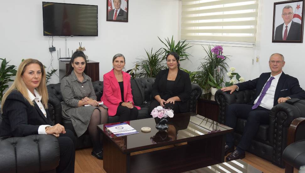 Hasipoğlu: Kadına yönelik şiddet insan hakları ihlalidir